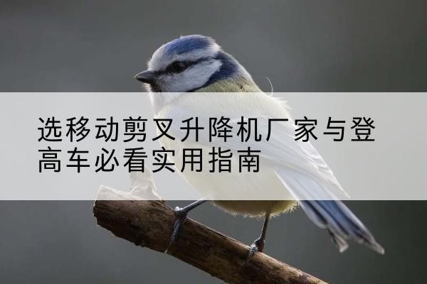 雁江电动升降机厂家-选移动剪叉升降机厂家与登高车必看实用指南