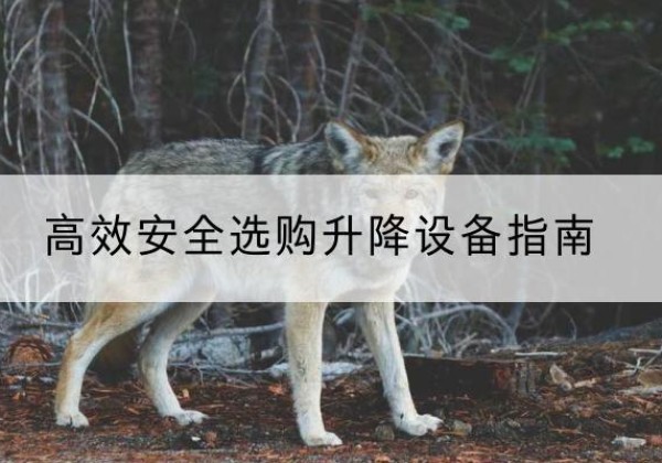 雁江升降货梯厂家推荐-*安全选购升降设备指南