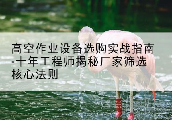 雁江剪叉式升降机厂家-高空作业设备选购实战指南-十年工程师揭秘厂家筛选核心法则